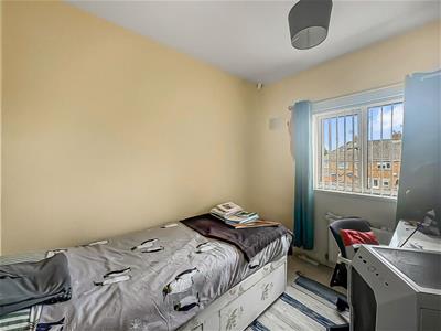 Picture 7